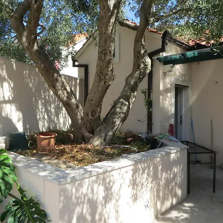 Apartment By The Sea Bol, Brac - 13665 *